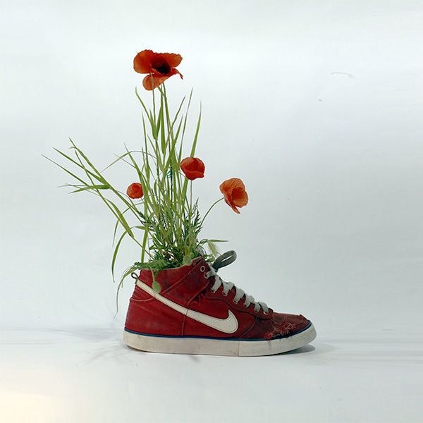 Nike Baze plant