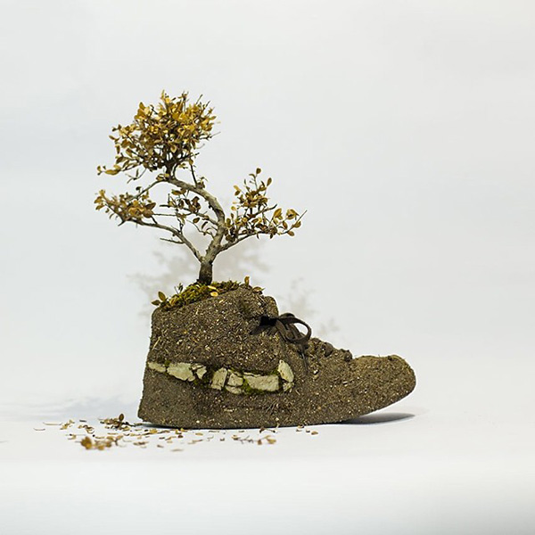 Nike Terre plant
