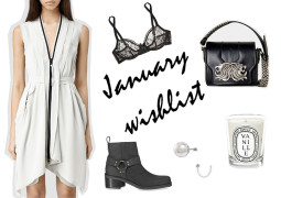 January wish list