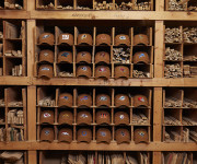 A New Collection For Hardworking Fans