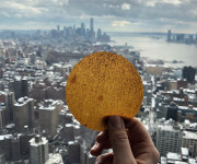 The Future of Materials