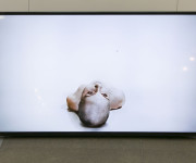 Video installation exhibition “Spaceless” by Laura Sabaliauskaitė