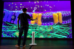 Ideum’s New Touchless Pedestal