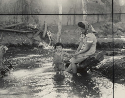 Photography by Ansel Adams, Dorothea Lange, and Toyo Miyatake Explores the Power of Gardens