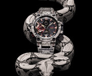 G-SHOCK x Wildlife Promising