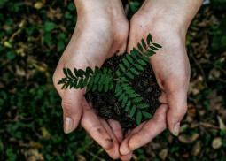 Blinc’s Journey to Making Conscious Cosmetics