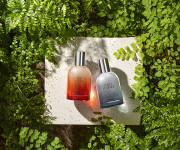 Scentbird Launches Fragrance Line, Sanctuary, To Support Wildlife Conservation