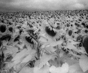 Atlanta Couple Mints First Real Fungible Tokens