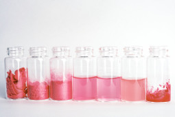 BioCircular Materials Alliance Welcomes New Members
