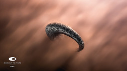 Dubai’s Museum of the Future Brings a Bold Vision to SXSW